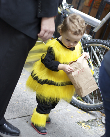 bee_04