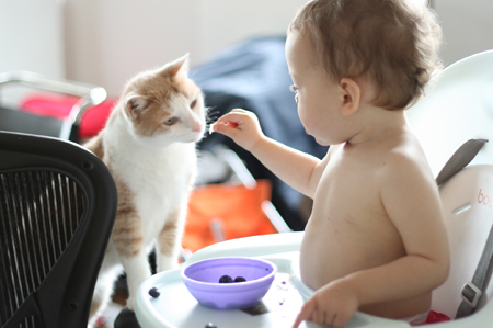 feedingwalker